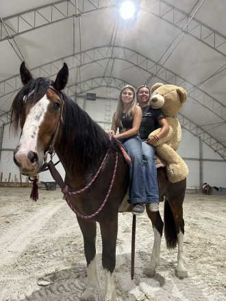 HorseID: 2292126 Thunderhoof's Odin - PhotoID: 1070807