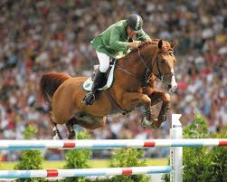 HorseID: 2292126 Thunderhoof's Odin - PhotoID: 1070810