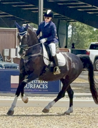 HorseID: 2292163 Nicolette's Dream J&S - PhotoID: 1070842