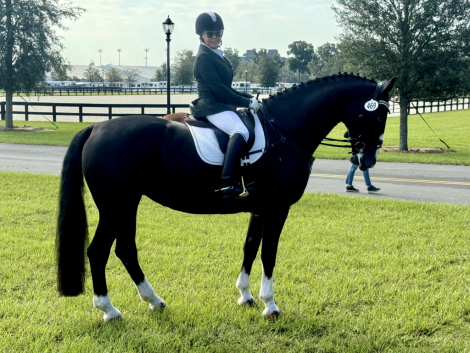 HorseID: 2292163 Nicolette's Dream J&S - PhotoID: 1070843