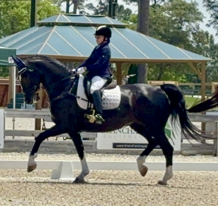 HorseID: 2292163 Nicolette's Dream J&S - PhotoID: 1070844