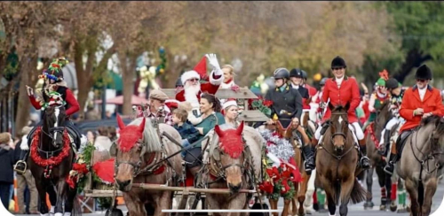 HorseID: 2292163 Nicolette's Dream J&S - PhotoID: 1070847