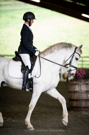 HorseID: 2292829 Ejecutor DG - PhotoID: 1096143