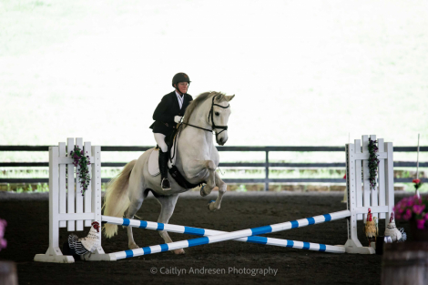 HorseID: 2292829 Ejecutor DG - PhotoID: 1096144