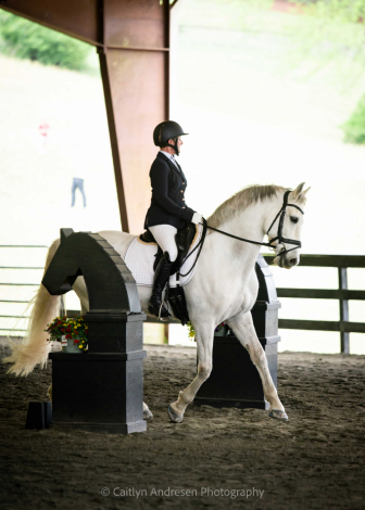 HorseID: 2292829 Ejecutor DG - PhotoID: 1096145