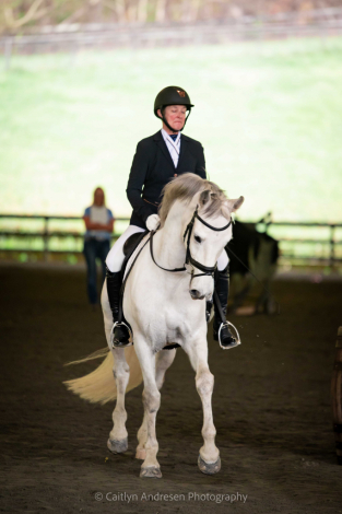 HorseID: 2292829 Ejecutor DG - PhotoID: 1096146