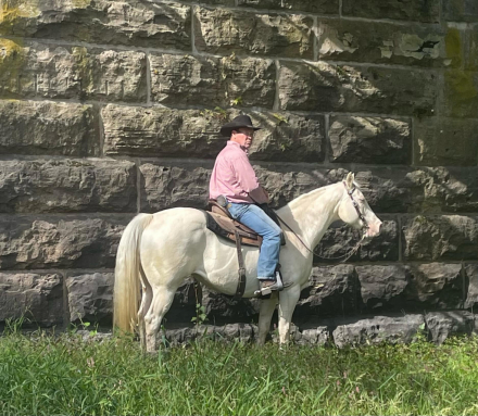 HorseID: 2297463 TRACY - PhotoID: 1096224