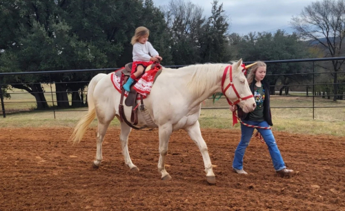 HorseID: 2297463 TRACY - PhotoID: 1096225