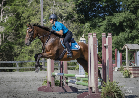 HorseID: 2298188 Tench - PhotoID: 1096585