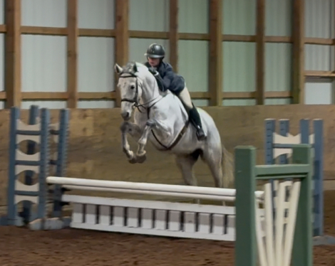 HorseID: 2299631 Zuzudini - PhotoID: 1095825