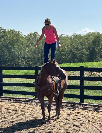 HorseID: 2302236 SRDRILLBABYDRILL - PhotoID: 1096827