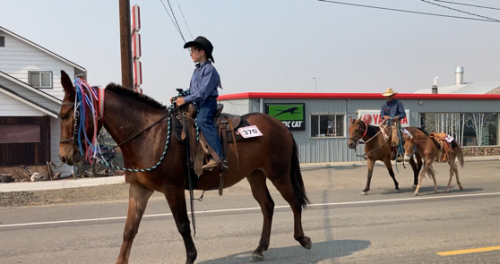 HorseID: 2303484 Otter Pops Man - PhotoID: 1097192
