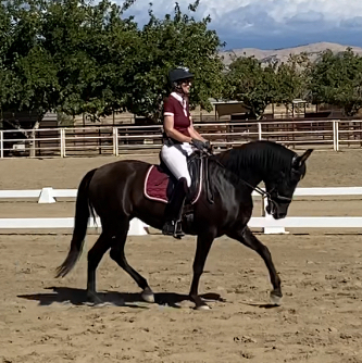 HorseID: 2304482 Tenaya - PhotoID: 1096348