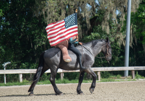 HorseID: 2305574 Bon Jovi - PhotoID: 1097176