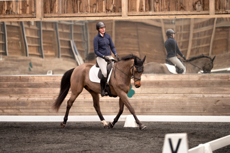 HorseID: 2306111 Matsoe JDV - PhotoID: 1089721