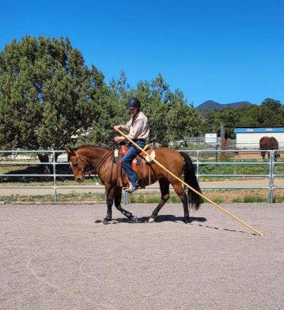 HorseID: 2306907 Sweet Liberty - PhotoID: 1096108