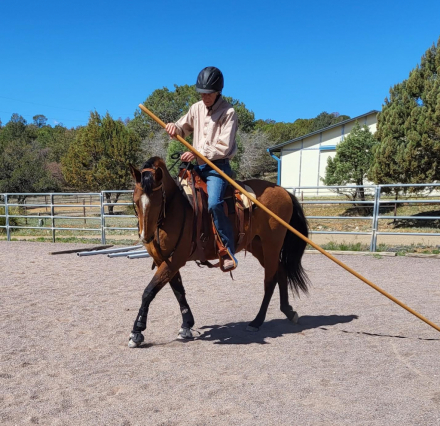 HorseID: 2306907 Sweet Liberty - PhotoID: 1096109