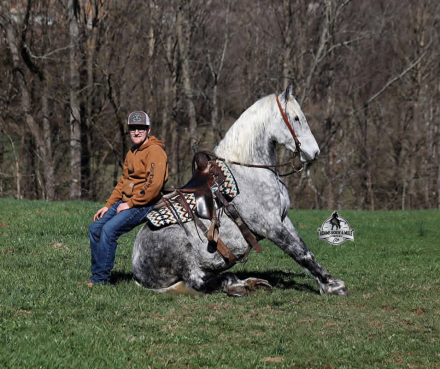 HorseID: 2306932 ALL SMOKED OUT - PhotoID: 1090733