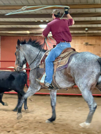 HorseID: 2306934 POCO - PhotoID: 1090739