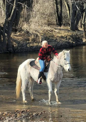 HorseID: 2307121 Gus - PhotoID: 1090977