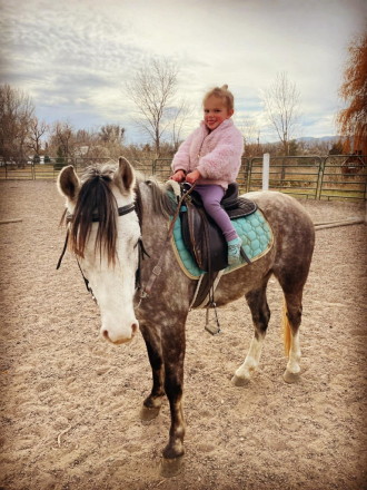 HorseID: 2307158 ROMEO - PhotoID: 1091092