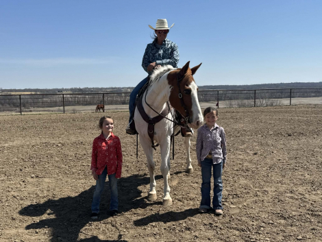 HorseID: 2307274 FELIX - PhotoID: 1091370