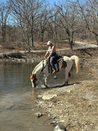 HorseID: 2307274 FELIX - PhotoID: 1091371