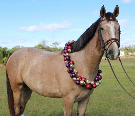 HorseID: 2307274 BEHOLD TEODORO CFS - PhotoID: 1091370