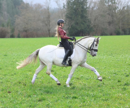 HorseID: 2307465 Oleado - PhotoID: 1091416