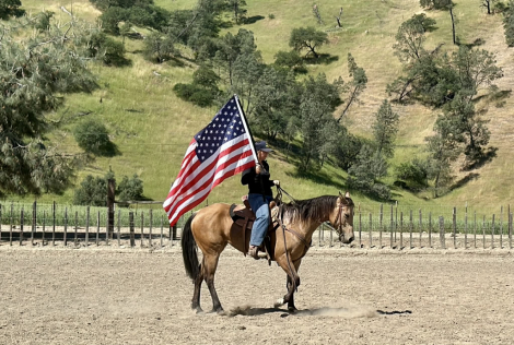 HorseID: 2308146 PRINCESS - PhotoID: 1094357