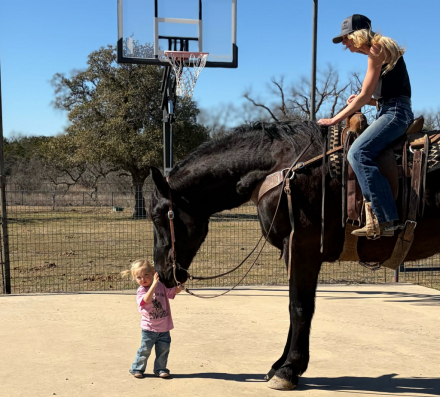 HorseID: 2308352 SLEEPY - PhotoID: 1092488