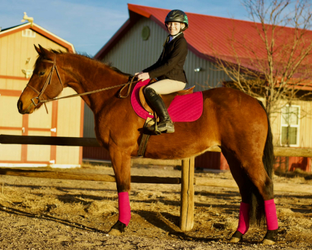 HorseID: 2308353 PETUNIA - PhotoID: 1092491