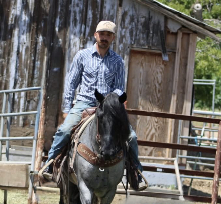 HorseID: 2308354 BLUEY - PhotoID: 1092496