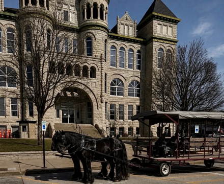 HorseID: 2308358 DIVA - PhotoID: 1092498