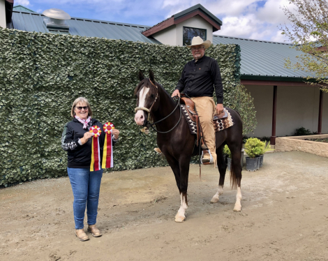 HorseID: 2308397 Major Psax - PhotoID: 1096603