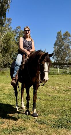 HorseID: 2308397 Major Psax - PhotoID: 1096604