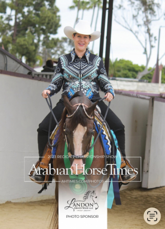 HorseID: 2308397 Major Psax - PhotoID: 1096605