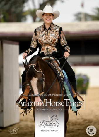 HorseID: 2308397 Major Psax - PhotoID: 1096606