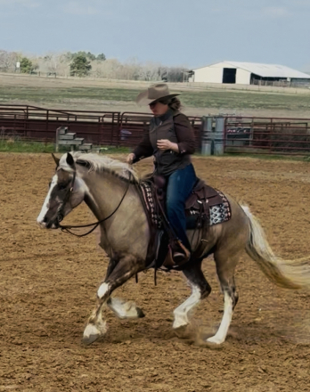 HorseID: 2308659 Owen You Everything - PhotoID: 1096147