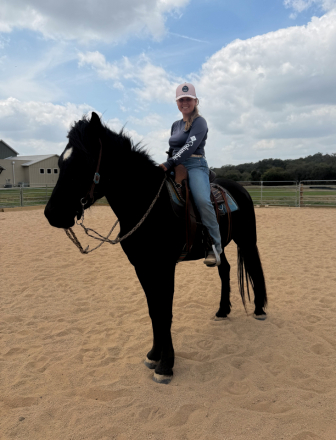 HorseID: 2309929 BHS-Bow N Arrow - PhotoID: 1095715