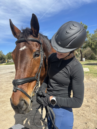 HorseID: 2310036 Gus Street - PhotoID: 1096830