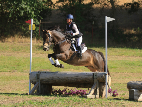 HorseID: 2310391 Ringo Star - PhotoID: 1095270