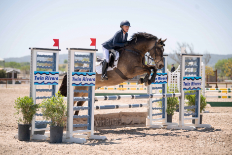HorseID: 2310391 Ringo Star - PhotoID: 1095256