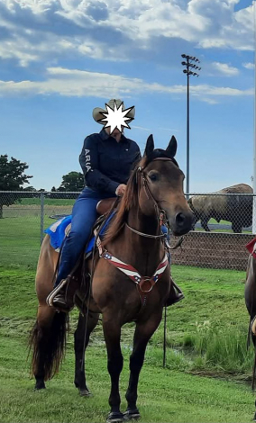 HorseID: 2310505 Hights Cash - PhotoID: 1096448