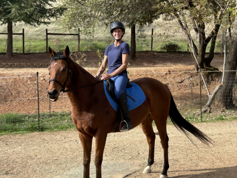 HorseID: 2310553 Pogo - PhotoID: 1095742