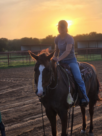 HorseID: 2310807 CB King Dynamo - PhotoID: 1095501