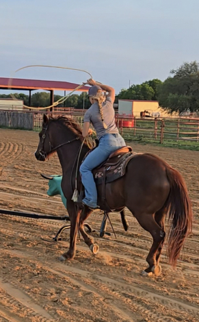 HorseID: 2310807 CB King Dynamo - PhotoID: 1095502