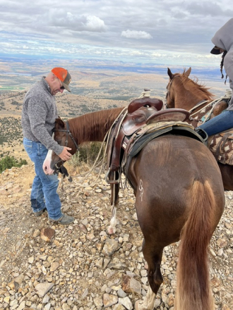 HorseID: 2310888 Higher Than You - PhotoID: 1095608