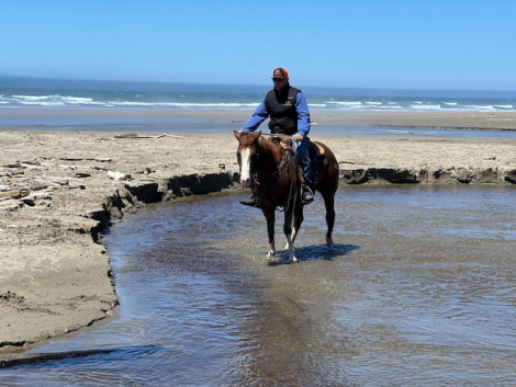 HorseID: 2310888 Higher Than You - PhotoID: 1095609