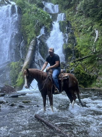 HorseID: 2310888 Higher Than You - PhotoID: 1095607